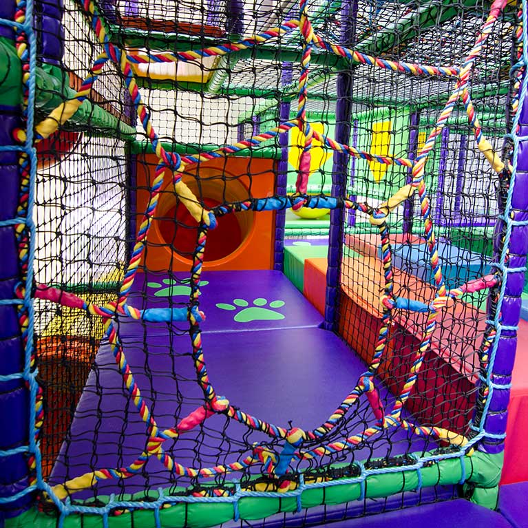 Spiders Web - Image 3