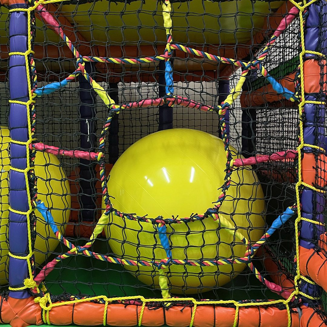 Spiders Web - Image 5