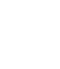White FSC Logo
